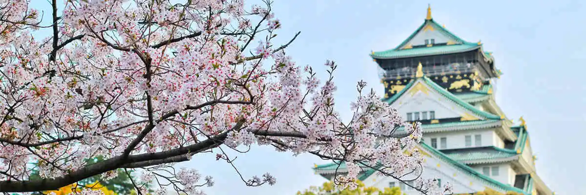 在加拿大办理日本签证详细攻略
