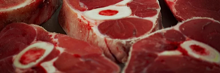 魁省食品加工试点